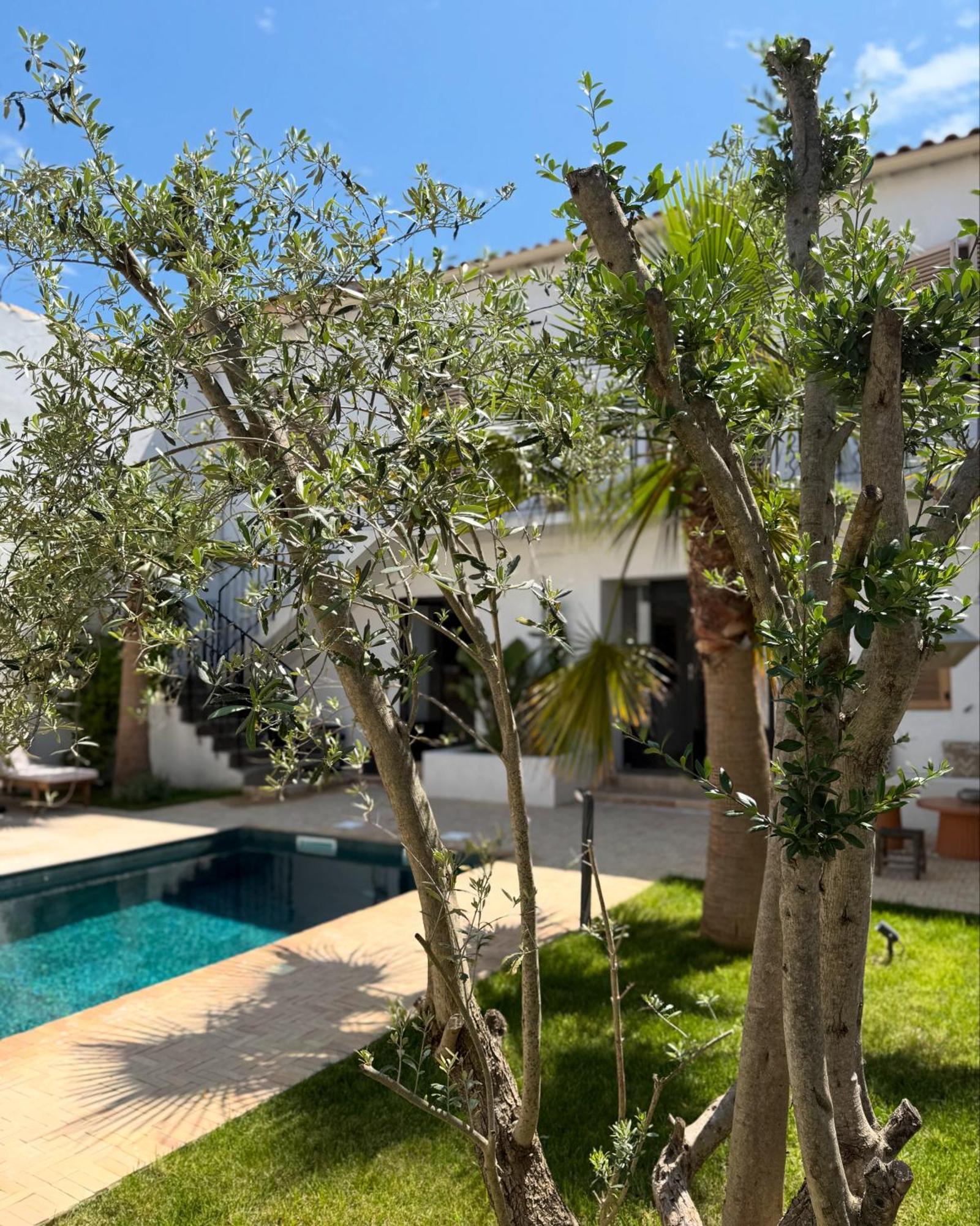 La Maison De Ville - Piscine - Spa Sete Exterior photo